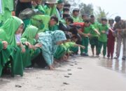Melestarikan Penyu di Indonesia, SD Qur’an Ar Risalah Beramai-ramai Melepas Tukik