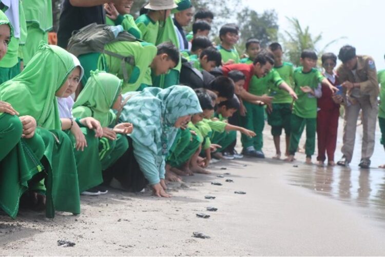 Melestarikan Penyu di Indonesia, SD Qur'an Ar Risalah Beramai-ramai Melepas Tukik