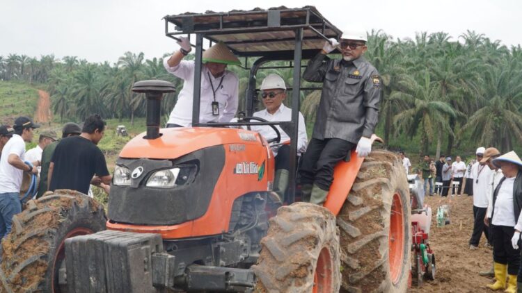 program tanam padi PTPN diperluas hingga Jambi