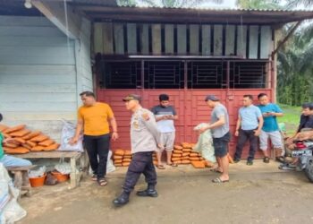 Polda Sumbar Tangkap Pengedar Ganja, Temukan 82 Paket Ganja Siap Edar di Pasaman Barat