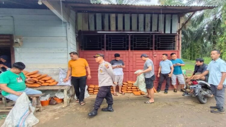 Direktorat Reserse Narkoba Polda Sumatera Barat bersama tim Opsnal Polsek Kinali Polres Pasaman Barat menangkap seorang pelaku pengedar narkotika jenis ganja kering siap edar dengan barang bukti 82 paket yang dibawa menggunakan mobil di jalan umum Jembatan Padang Kadok Nagari Bandua Balai, Kecamatan Kinali, Pasaman Barat, Sumbar, Sabtu (1/3/2025). ANTARA/HO-Humas Polres Pasaman Barat