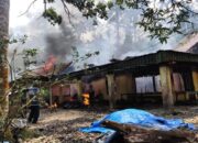 Kebakaran Hebat di Pasaman: Dua Rumah Ludes Terbakar, Kerugian Capai Puluhan Juta