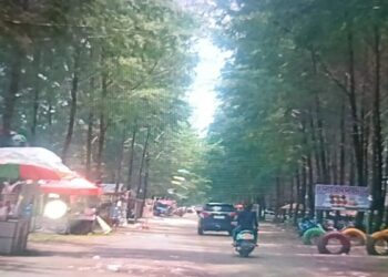 Pemkab Pasaman Barat Gelar Pesta Pantai Sasak Sambut Wisatawan Lebaran