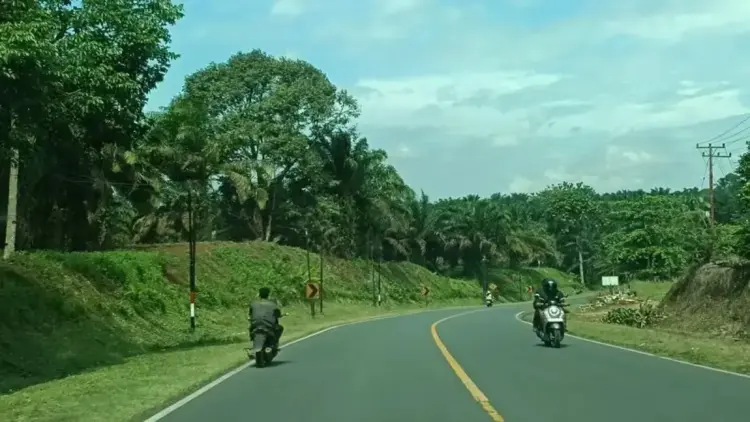 Dishub Pasaman Barat Ingatkan Pemudik Waspadai Ancaman Banjir dan Longsor di Jalur Talamau 1 Arus Mudik di jalur jalan Manggopoh Pasaman Barat masih lancar. Diperkirakan arus kendaraan akan meningkat tiga hari menjelang Lebaran Idul Fitri 1446 Hijriah. (ANTARA/Altas Maulana).
