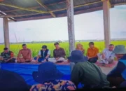 Pemkab Pasaman Barat Jalin Kerja Sama dengan Bulog Serap Gabah Hasil Panen Petani