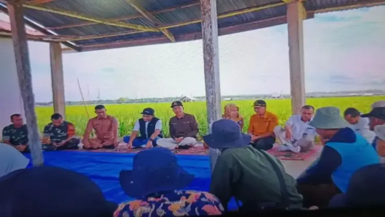 Wakil Bupati Pasaman Barat Risnawanto (tengah) saat mendampingi kerja sama dengan Perum Bulog Wilayah Sumatera Barat dalam upaya menyerap gabah hasil panen kelompok tani di Bunuik Kecamatan Kinali, Senin (24/3/2025). ANTARA/Altas Maulana.