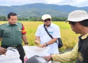 Bulog Bukittinggi Serap 467 Ton Beras Panen Masyarakat Dukung Swasembada Pangan Nasional