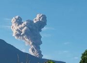 Gunung Marapi Erupsi, Kolom Abu Capai 800 Meter