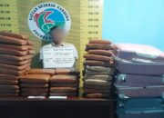 Polres Pasaman Gagalkan Peredaran 100 Paket Ganja, Satu Kurir Diamankan