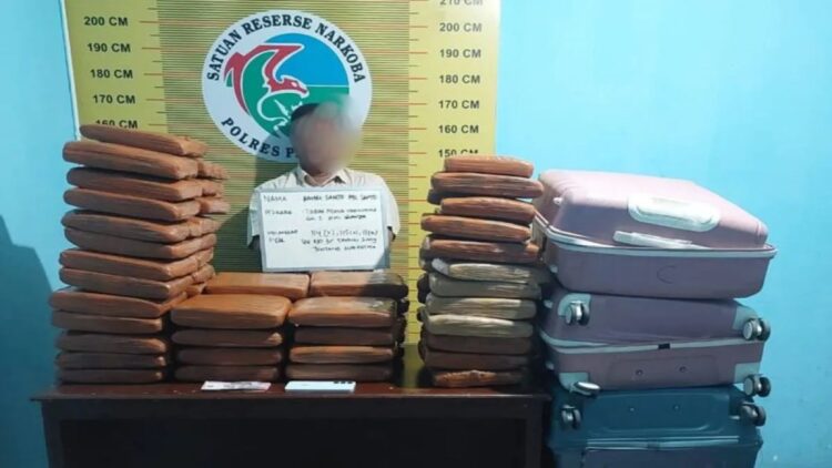 Tersangka kurir Ganja inisial PS (42) warga Sontang, Jorong Sontang, Nagari Sontang Cubadak, Kecamatan Padang Gelugur, Kabupaten Pasaman, Sumbar, Senin (3/3/2025).ANTARA/Heri Sumarno