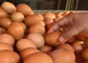 Harga Pangan Nasional: Telur Ayam Ras Rp29.500/Kg, Cabai Rawit Sentuh Rp97.150/Kg