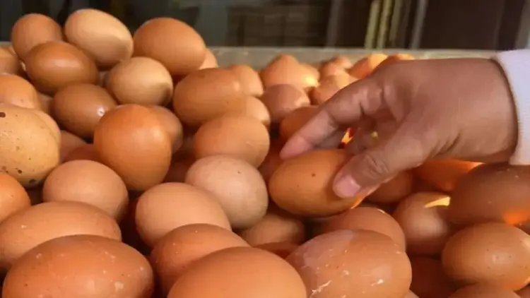 Telur ayam ras dijual pedagang di Pasar Karanganyar, Jakarta. ANTARA/Harianto