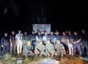 Satgas PKH kembali Kuasai 715 Ha Lahan Sawit di Dharmasraya, Tindak Pelanggaran Kawasan Hutan