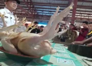 Bupati Solok Selatan Sidak Pasar Padang Aro, Pastikan Harga Kebutuhan Pokok Stabil jelang Lebaran