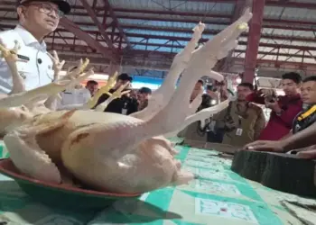 Bupati Solok Selatan Sidak Pasar Padang Aro, Pastikan Harga Kebutuhan Pokok Stabil jelang Lebaran