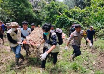 Tim BKSDA Sumbar, Pagari dan Polsek Matur melakukan evakuasi harimau yang masuk kandang jebak di Taruyan, Nagari (Desa) Tigo Balai, Kecamatan Matur, Kabupaten Agam, Rabu (12/3). (Dok Antara/Yusrizal)
