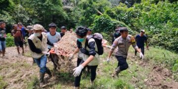 Tim BKSDA Sumbar, Pagari dan Polsek Matur melakukan evakuasi harimau yang masuk kandang jebak di Taruyan, Nagari (Desa) Tigo Balai, Kecamatan Matur, Kabupaten Agam, Rabu (12/3). (Dok Antara/Yusrizal)