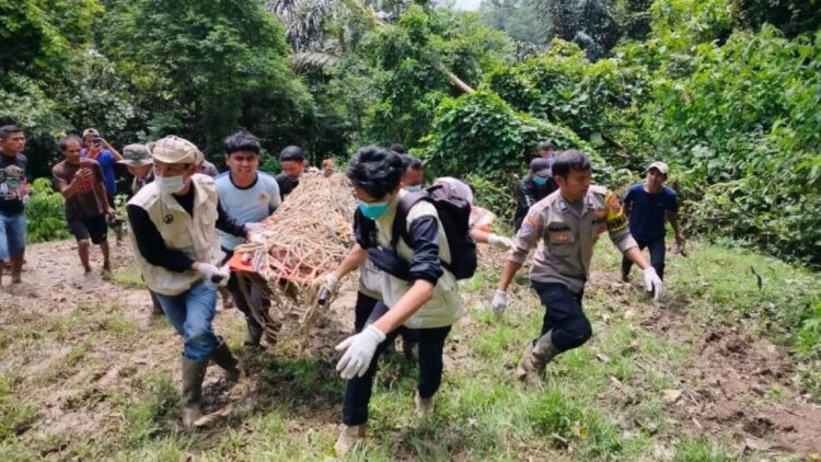 Tim BKSDA Sumbar, Pagari dan Polsek Matur melakukan evakuasi harimau yang masuk kandang jebak di Taruyan, Nagari (Desa) Tigo Balai, Kecamatan Matur, Kabupaten Agam, Rabu (12/3). (Dok Antara/Yusrizal)