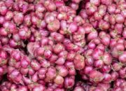 Pusat Informasi Pangan: Bawang Merah Dibanderol Rp45.600/Kg Hari Ini