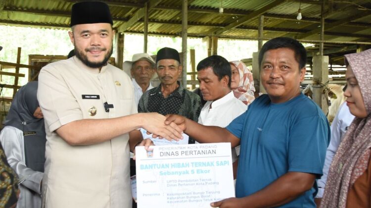 Wako Fadly Amran serahkan bantuan hibah sapi Dinas Pertanian Kota Padang. (dok. Prokopim)