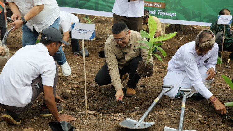 Wamen Ossy Tanam Pisang di Jembrana, Wujud Penataan Akses Tanah Ulayat Pertama di Indonesia 1 Wamen Ossy tanam pisang di tanah ulayat daerah Jembrana, Bali. (dok. ATR/BPN)