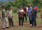 Wawako Maigus Nasir Cek Kesiapan Venue untuk Raimuna 2025