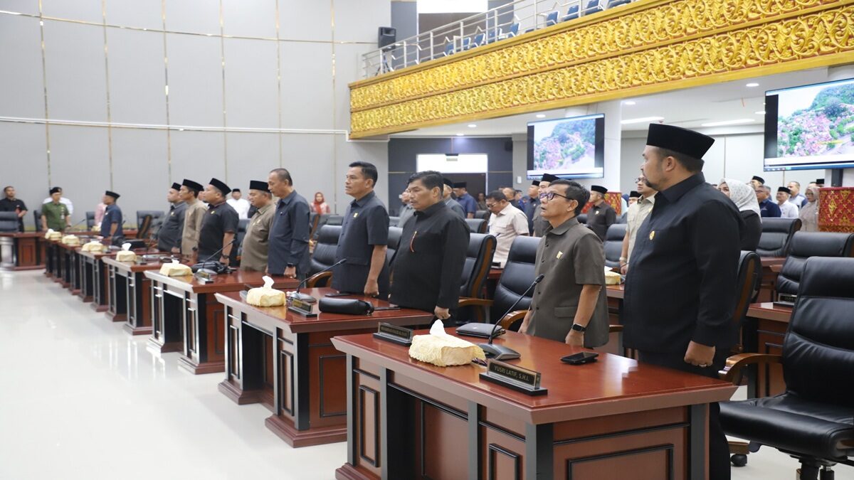 WhatsApp Image 2025 03 11 at 12.26.08