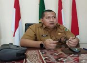 Proyek Flyover Sitinjau Lauik: Pembebasan Lahan di Hutan Lindung Terus Berproses, Selesai Juni 2025