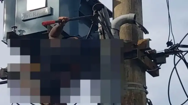 Diduga Curi Kabel, Pria Tewas Tersengat Listrik di Padang Pariaman 1 Seorang pria di Pariaman yang diduga mencuri kabel listrik ditemukan tersengat. (Foto: Dok. Istimewa)