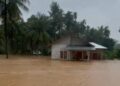 Banjir yang terjadi di Kabupaten Pesisir Selatan pada Rabu (12/3/2025). (dok. istimewa)