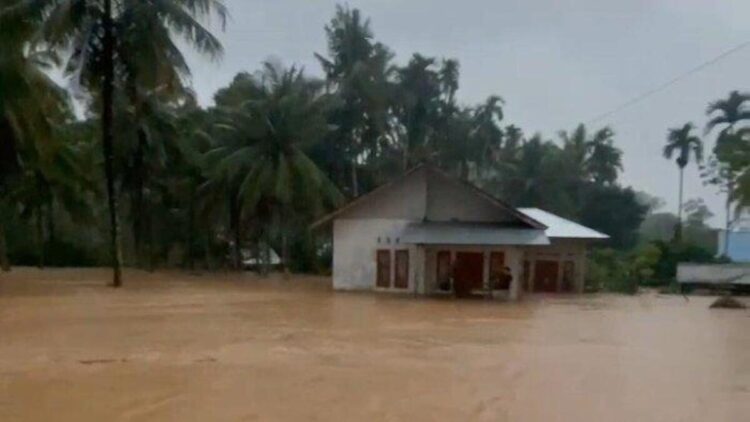 BPBD Data Kerusakan Jembatan Imbas Banjir di Pesisir Selatan 1 Banjir yang terjadi di Kabupaten Pesisir Selatan pada Rabu (12/3/2025). (dok. istimewa)