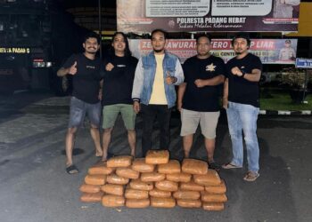 Barang bukti 28 paket ganja yang diamankan Tim Klewang saat menangkap pelaku curanmor. (dok. istimewa)