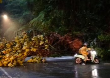 Longsor di Panorama 1 Sitinjau Lauik setelah hujan seharian pada Rabu (4/3/2025) mengguyur Sumbar. (dok. istimewa)