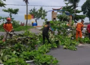 Hujan dan Angin Kencang Terjang Kota Padang: Puluhan Rumah Rusak, Pohon Tumbang dan Longsor di Dua Lokasi