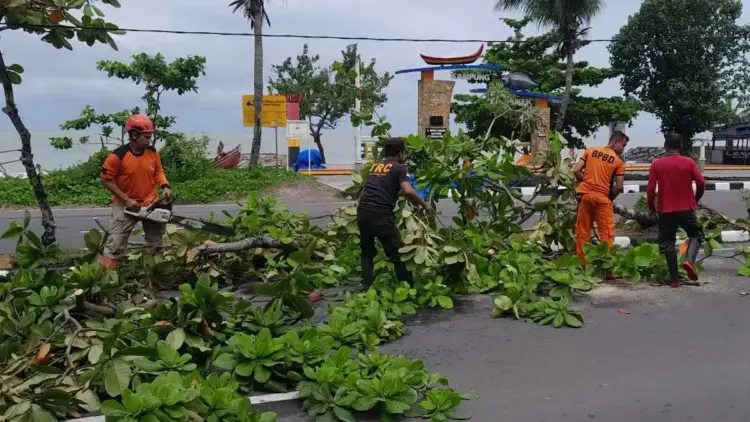 Pohon tumbang di kawasan Jalan Samudera, Pantai Padang, Kecamatan Padang Barat. (dok. BPBD Padang)