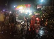 BPBD Evakuasi Dua Pohon Tumbang yang Hambat Akses Jalan di Bypass Padang