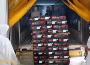 Sumbar Ekspor Perdana Frozen Tuna ke Amerika Serikat, Tandai Langkah Baru di Pasar Internasional