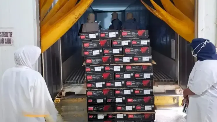 Petugas memeriksa tuna beku yang akan diekspor tujuan Amerika Serikat di Pelabuhan Teluk Bayur, Kota Padang, Sumatera Barat. (Antara/HO-Humas Balai Karantina Hewan Ikan dan Tumbuhan Provinsi Sumbar).