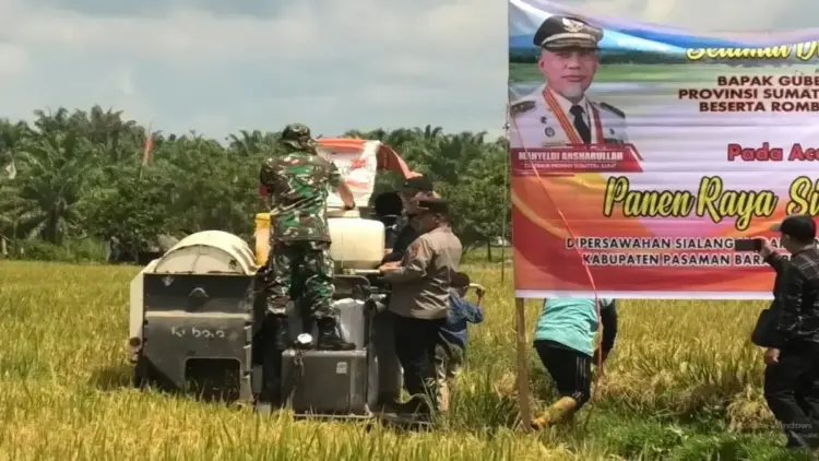 Pemerintah Kabupaten Pasaman Barat, Sumatera Barat melakukan panen raya padi di area Persawahan Sialang, Kejorongan Padang Jiraik, Nagari Bunuik Kecamatan Kinali bersama Pemrov Sumbar dalam rangka mendukung swasembada pangan, Kamis. (10/4/2025). ANTARA/Altas Maulana.