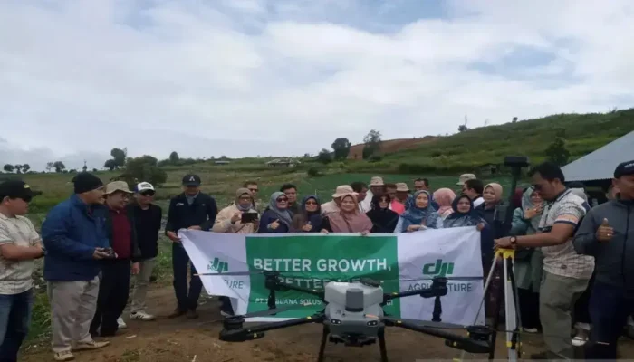 Kelompok Tani di Solok Uji Coba Drone untuk Penyemprotan-Pemupukan Lahan Pertanian