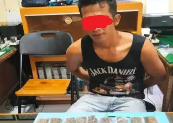 Edarkan Ganja di Solok Selatan, Pria Ini Ditangkap dengan 34 Paket Barang Bukti