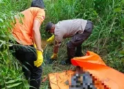 Geger Penemuan Kerangka Manusia di Belakang Kantor DPRD Kota Solok, Polisi Ungkap identitasnya