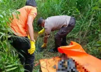 Geger Penemuan Kerangka Manusia di Belakang Kantor DPRD Kota Solok, Polisi Ungkap identitasnya