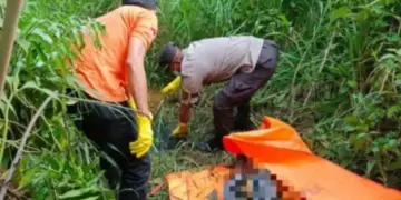 Geger Penemuan Kerangka Manusia di Belakang Kantor DPRD Kota Solok, Polisi Ungkap identitasnya 8 Geger Penemuan Kerangka Manusia di Belakang Kantor DPRD Kota Solok, Polisi Ungkap identitasnya