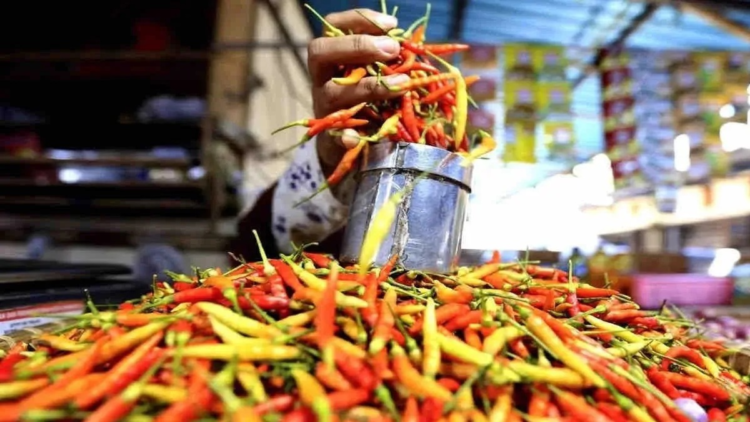 Harga Pangan Nasional Berfluktuasi: Beras dan Daging Sapi Naik, Cabai dan Minyak Goreng Turun 1 Ilustrasi - Pedagang menimbang cabai rawit di Pasar Liluwo, Kota Gorontalo, Gorontalo. ANTARA/Adiwinata Solihin