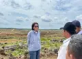 Direktur Keuangan dan Manajemen Risiko PTPN IV PalmCo Hilda Savitri saat mengunjungi areal tanam ulang sawit perusahaan. (dok. Humas)