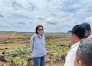 Dukungan PalmCo untuk Kartini Masa Kini, Berkarir di Perkebunan Bukan Sekadar Mimpi