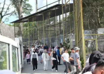 Kunjungan Wisata di Bukittinggi Naik Signifikan, PAD Capai Rp 2,9 Miliar selama Libur Lebaran