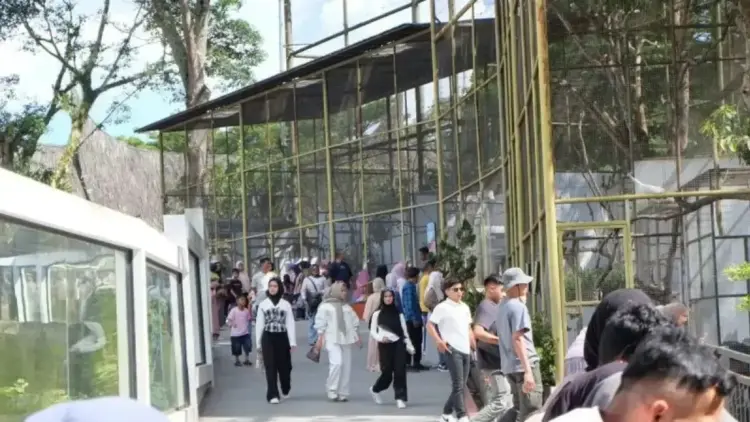 Kunjungan wisatawan saat momen libur lebaran di Kebun Binatang Taman Marga Satwa Budaya Kinantan (TMSBK) Kota Bukittinggi. (Antara/Al Fatah)