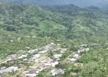 7.000 Hektare Hutan Taman Nasional Bukit Barisan Selatan Dirambah, Diduga untuk Perkebunan Kopi 1 7.000 Hektare Hutan Taman Nasional Bukit Barisan Selatan Dirambah, Diduga untuk Perkebunan Kopi